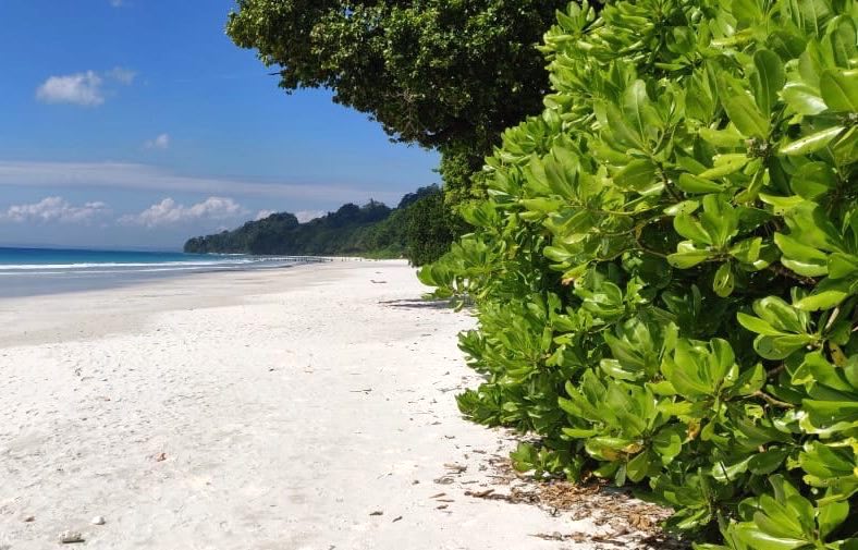 Gorgeous beach on Havelock Island