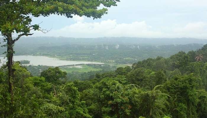 Mount Harriet National Park