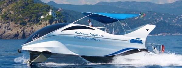 Dolphin Glass Bottom Boat Ride in Andaman