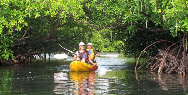 Kayaking in Andaman Islands